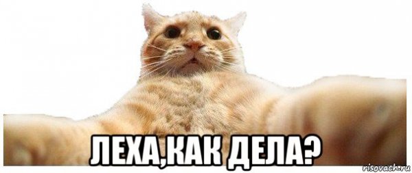 Алеша Мем
