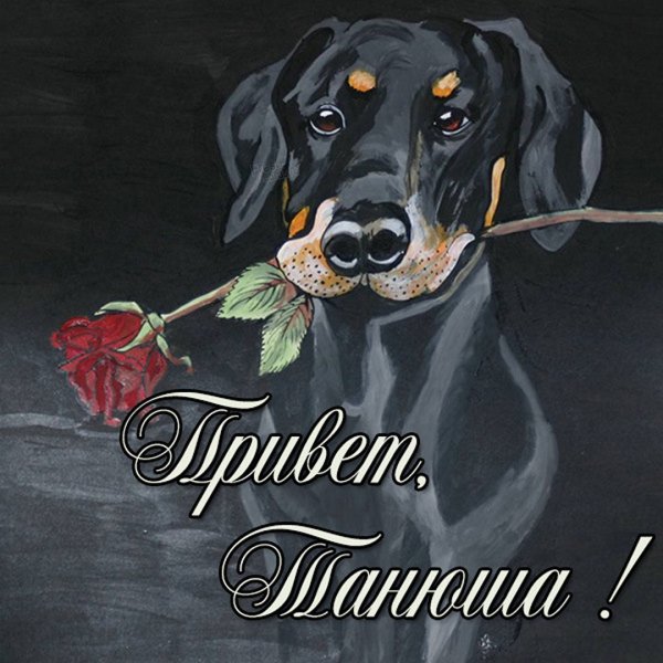 Приветик Танюша