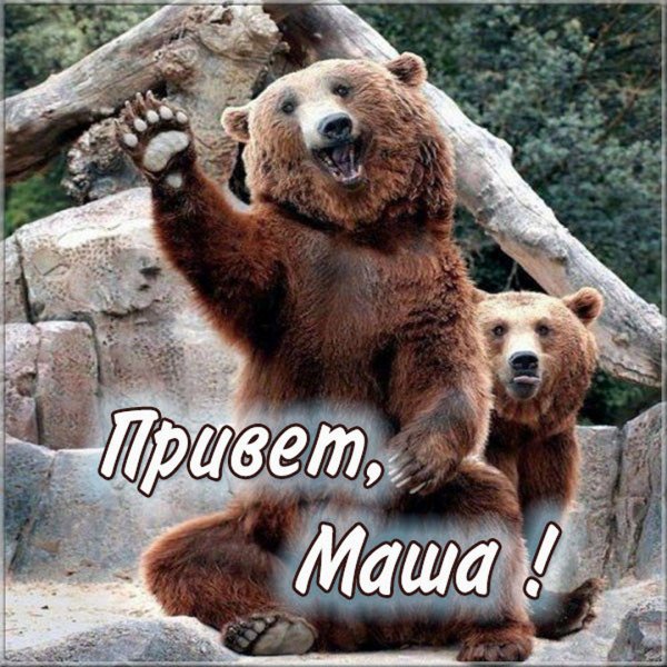 Привет от Маши