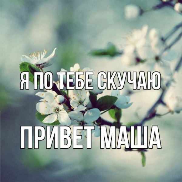 Доброе утро Маша и медведь