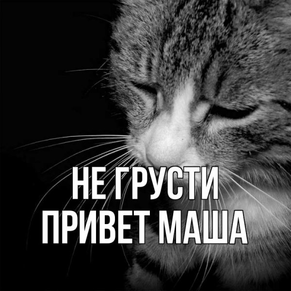 Хорошего дня от Маши и медведя