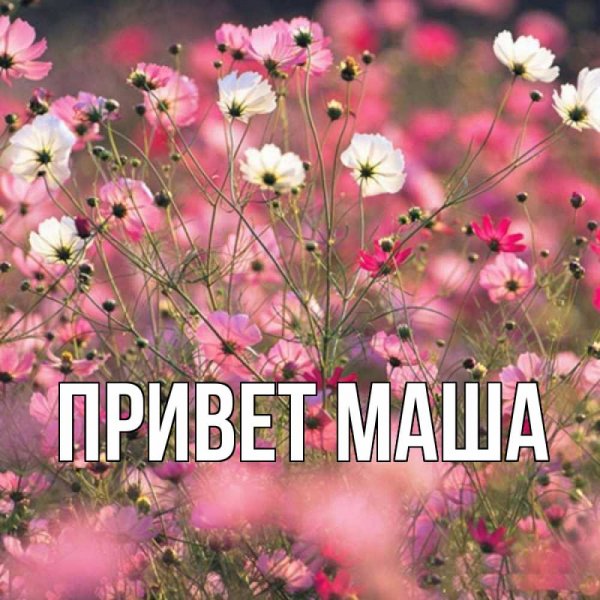 Открытка для Маши