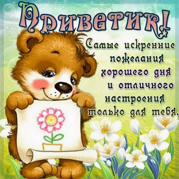 Открытки привет