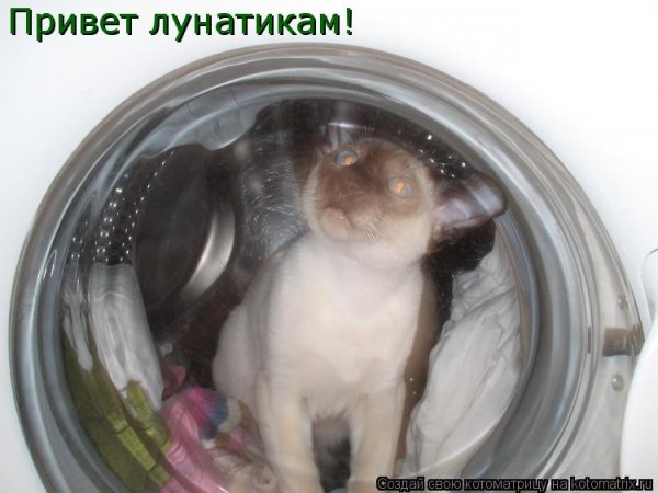 Привет лунатикам
