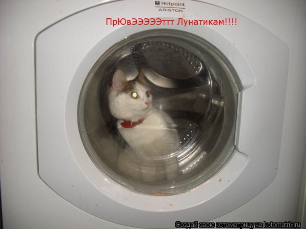 Привет лунатикам ну погоди