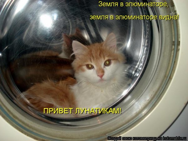 Фото привет лунатикам