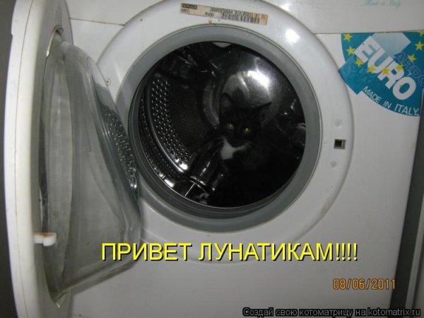 Ну погоди волк улыбается