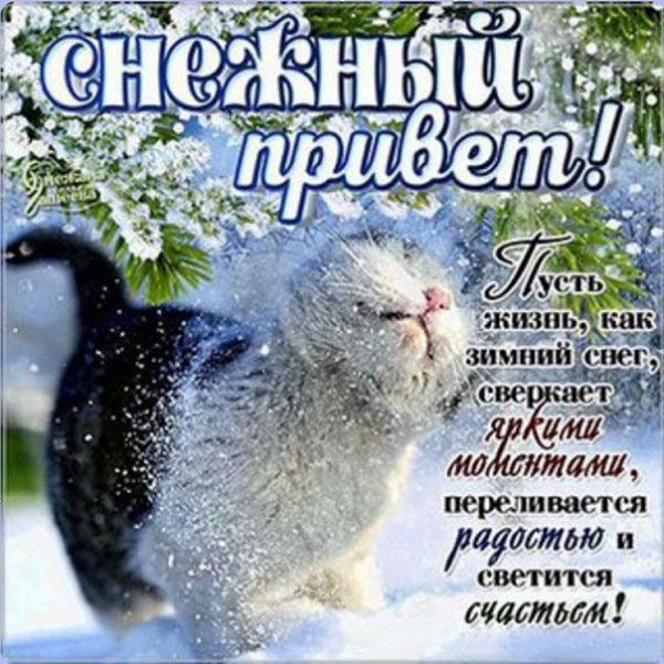 Зимний приветик