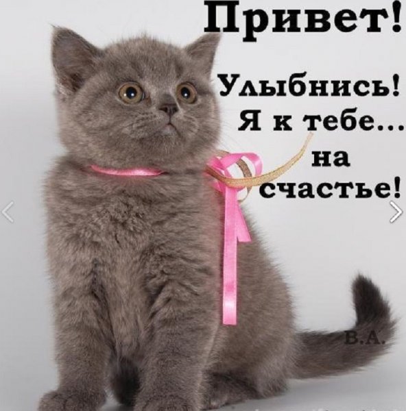 Привет улыбнись в ответ