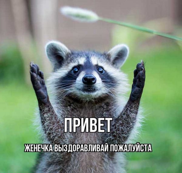 Улыбнись любимый