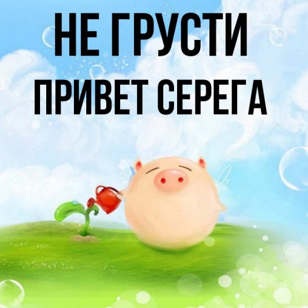 Привет Серега