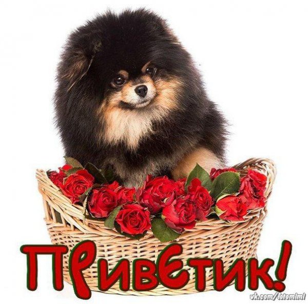 Добрый день Леночка