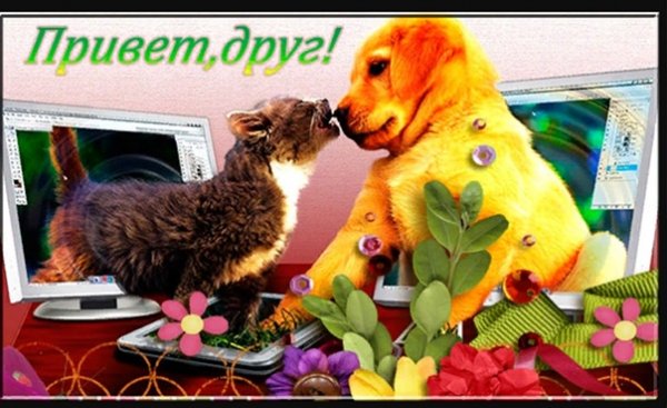 Привет мой друг