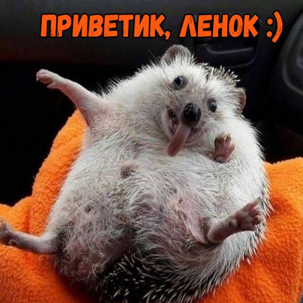 Леночка приветик