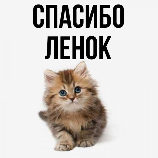 Стихи про Лену смешные