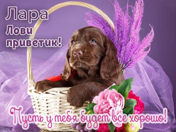 Привет Олег