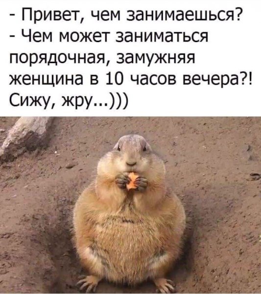 Привет чем занимаешься