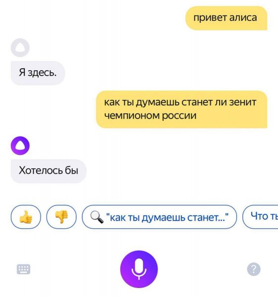 Привет Алиса приколы