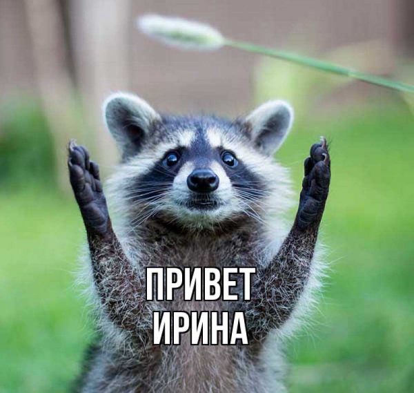 Привет Иришка