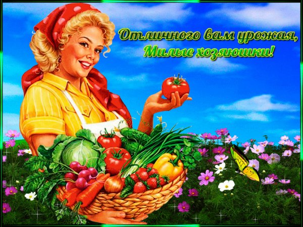 Хорошего урожая открытка