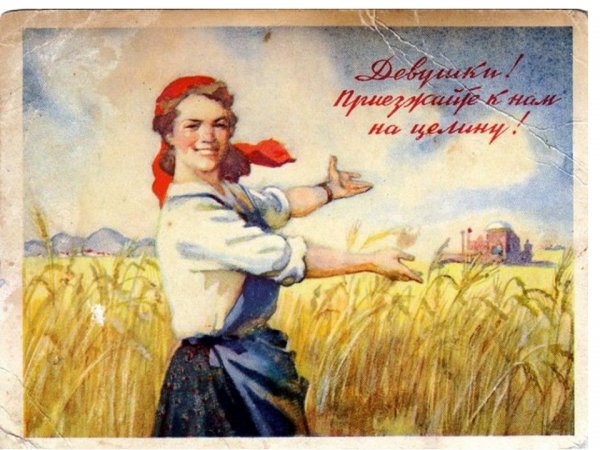 Целина плакаты