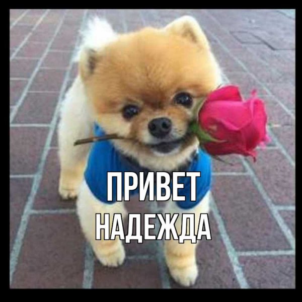 Спасибо Надежда