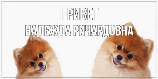 Поздравления с днём рождения надежде