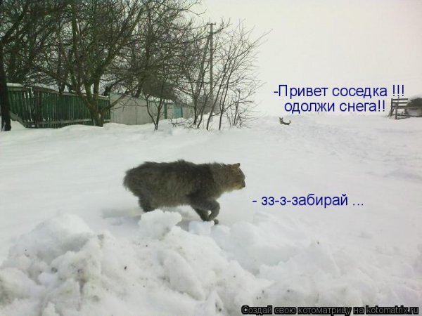 Привет соседка картинки