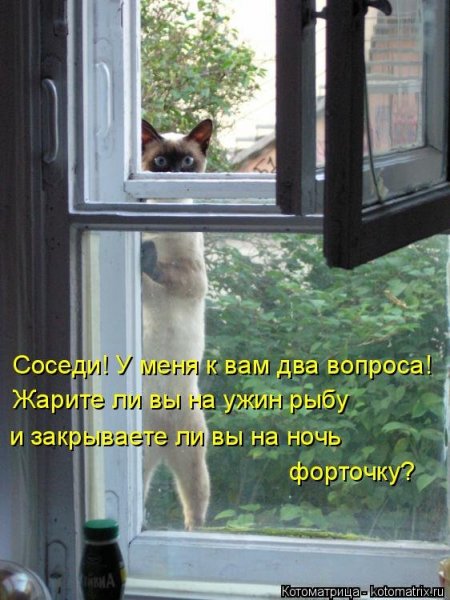 Форточка прикол