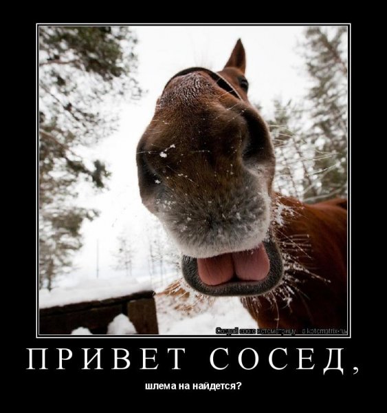 Привет с приколом и юмором