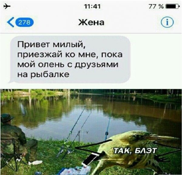 Привет жена