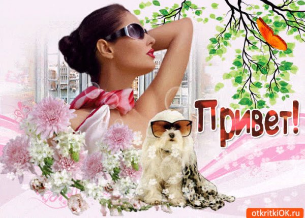 Передаю привет