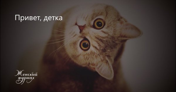 Привет деточка