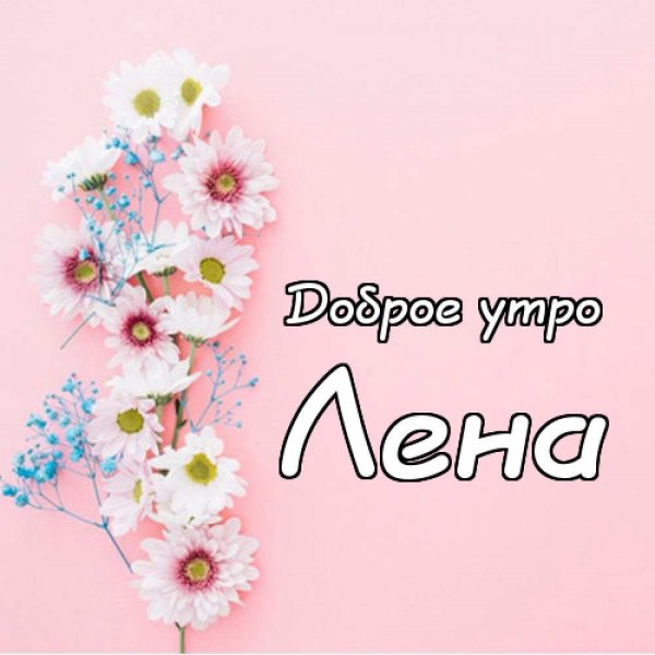 Доброе утро Леночка