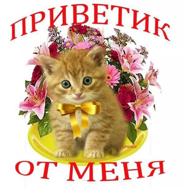 Открытки приветик