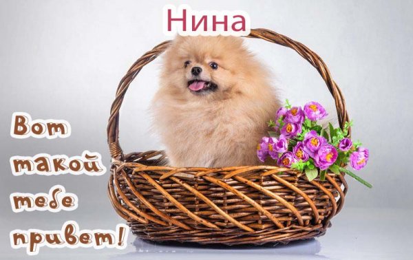Цветы для Нины