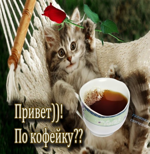 Чашечка кофе для вас