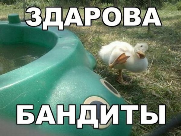 Привет бандиты