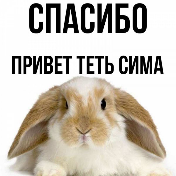 Открытки привет