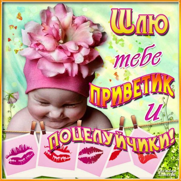 Привет с пионами