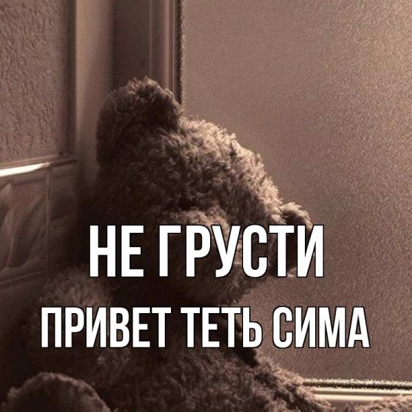 Приветик картинки прикольные