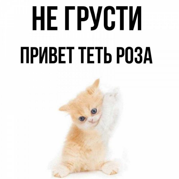 Обнимаю дня хорошего желаю