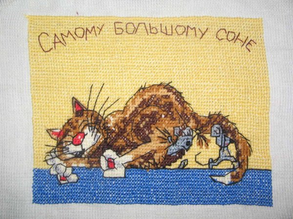 Просыпайся Засоня
