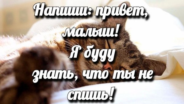 С добрым утром девушке прикольные