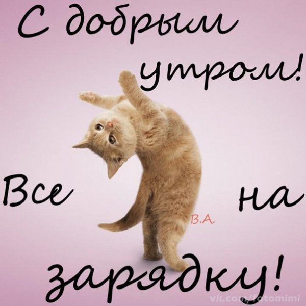 Доброе утро Соня-Засоня