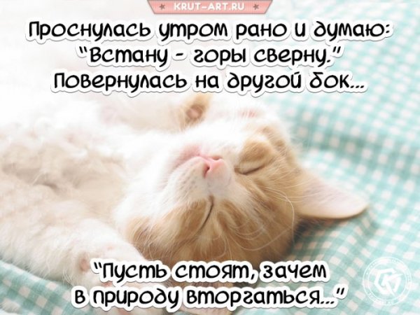 Проснулись доброе утро