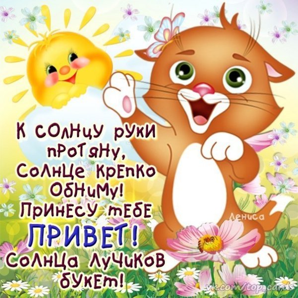 Привет солнышко