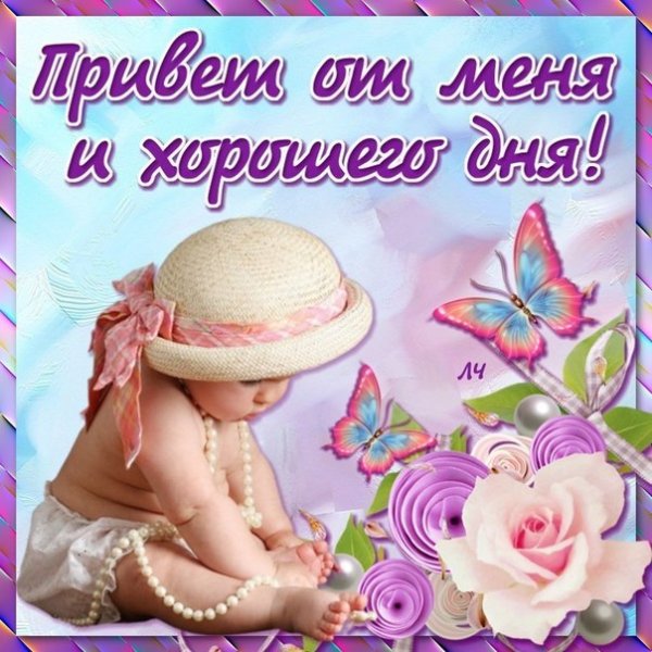 Добрый день Вера