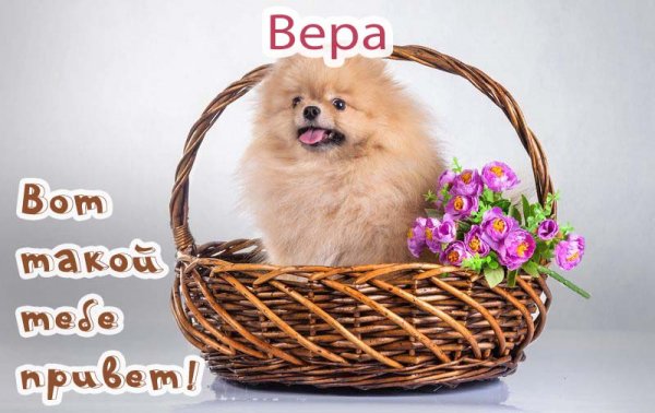 Привет спасибо