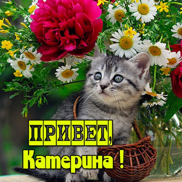 Людочка привет